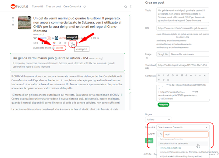 L'unica ricondivisione è il crossposting, ossia un inoltro non sincrono)