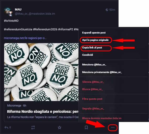 Differenza tra Copia link al post e Apri la pagina originale
